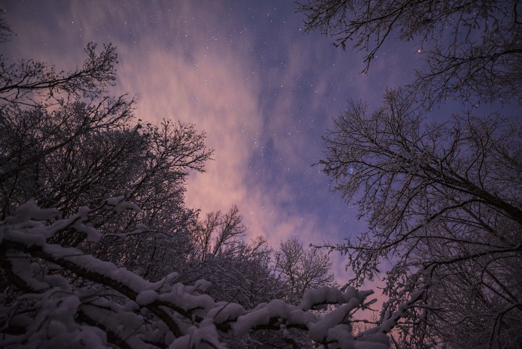 Téli varázs: Közeli erdő téli ruhában az éjszakai égbolt részletével.