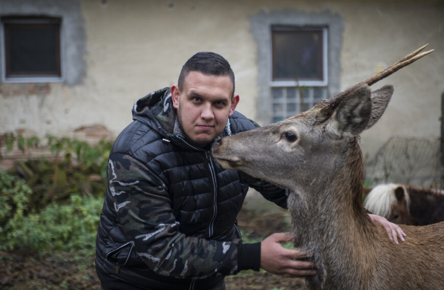 Bandi az ötvöskónyi ház udvarában