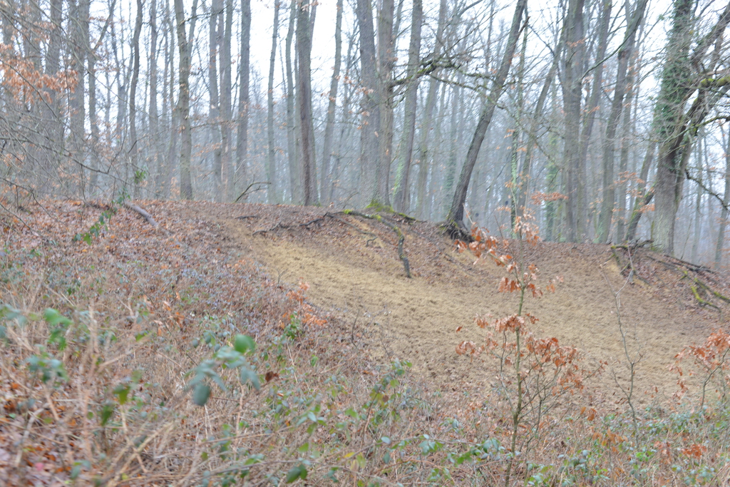 Még a téli hidegben is jól esik egy hosszú séta a természetben (37 / 8. kép)