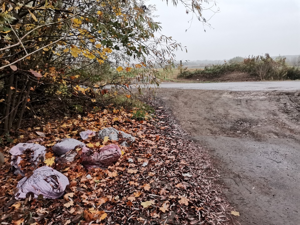 Fotók: Kaszó Zrt. (18 / 5. kép)