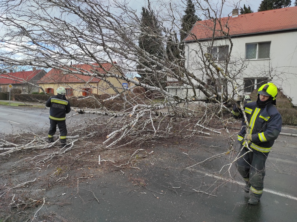 Autókra, épületekre és útra dőlt fák - Nagyatád HTP (14 / 10. kép)