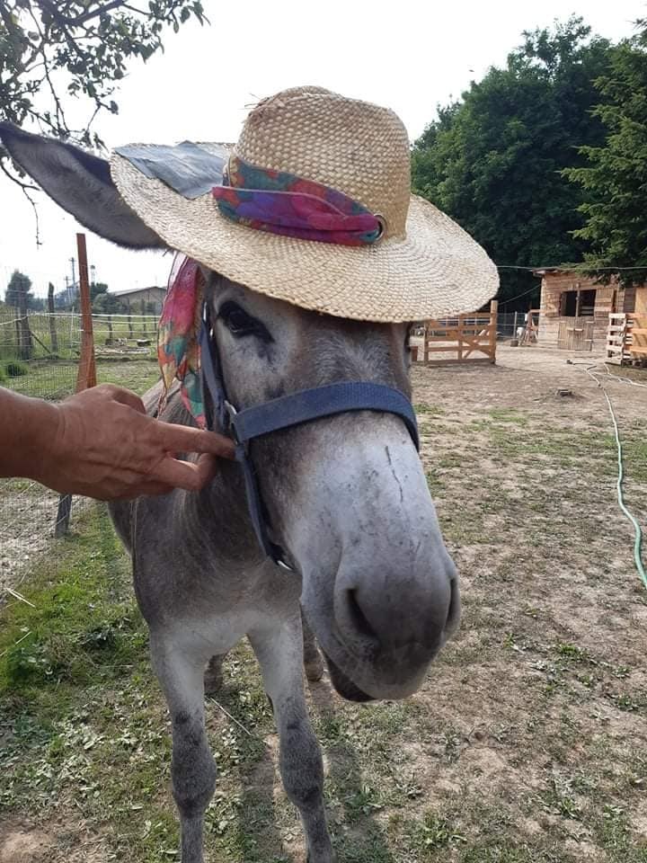 Bütyök, a nőcsábász (13 / 9. kép)