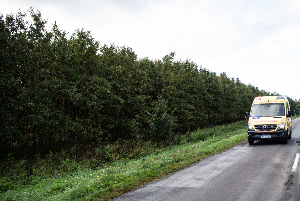 Fotók: Röhrig Dániel (9 / 9. kép)