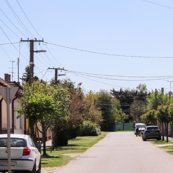 Az elektromos vezetékek környékén ritkítják a növényzetet Nagyatádon