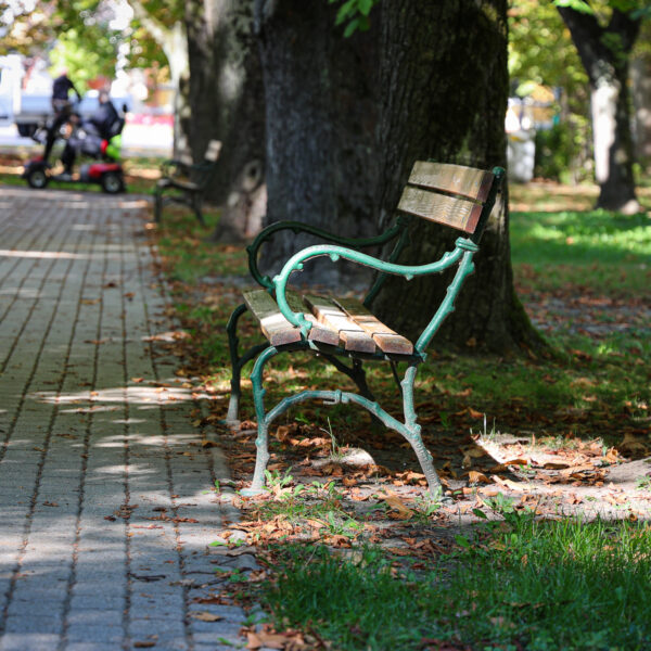 Valakinek nagyon kellenek a csavarok a Széchenyi parkból